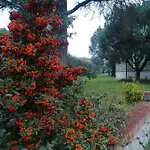 Franco Orentano